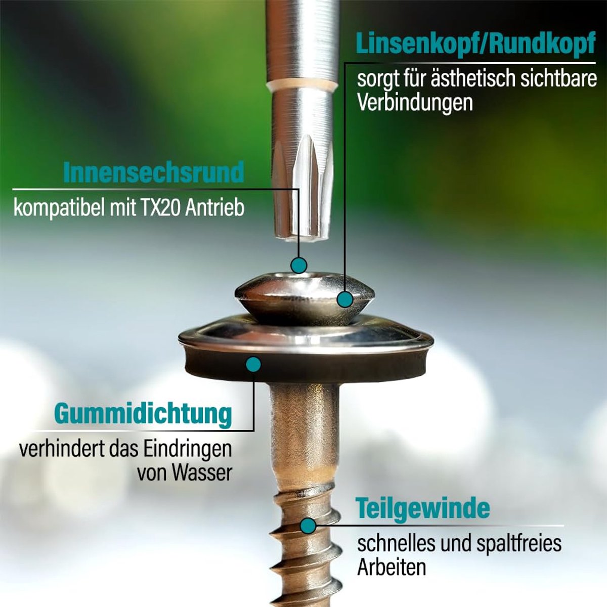 Schroeven 4.5 x 25 mm - RVS met EPDM afdichtring - Lenskop TX20 - Voor hout, metaal en kunststof - ShopVlot