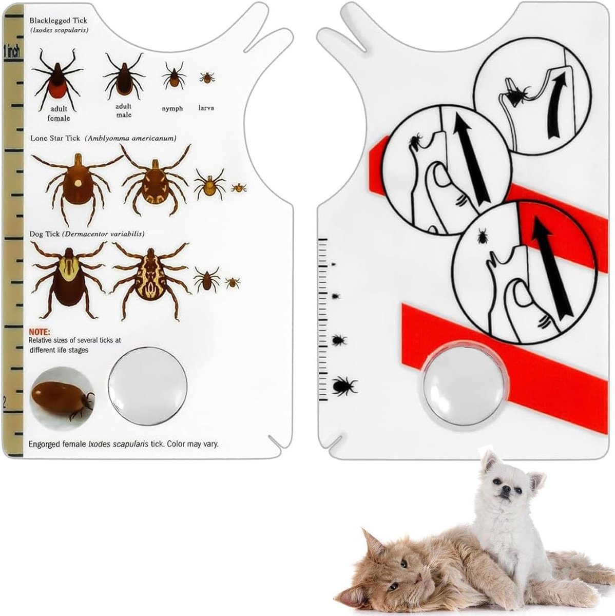 Tekenverwijdertool 2Pcs - Met vergrootglas - Voor honden en mensen - Veilig en compleet verwijderen - SnelShoppen