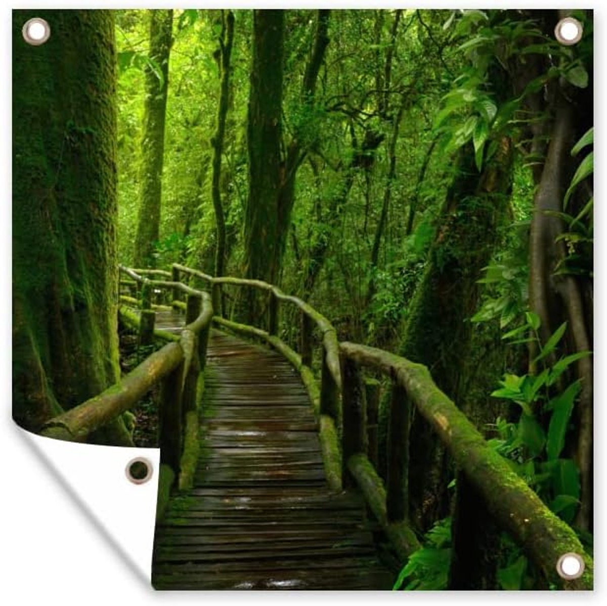 Tuinposter - 200x200 cm - Jungle - Brug - Mos - Natuur - Tropisch