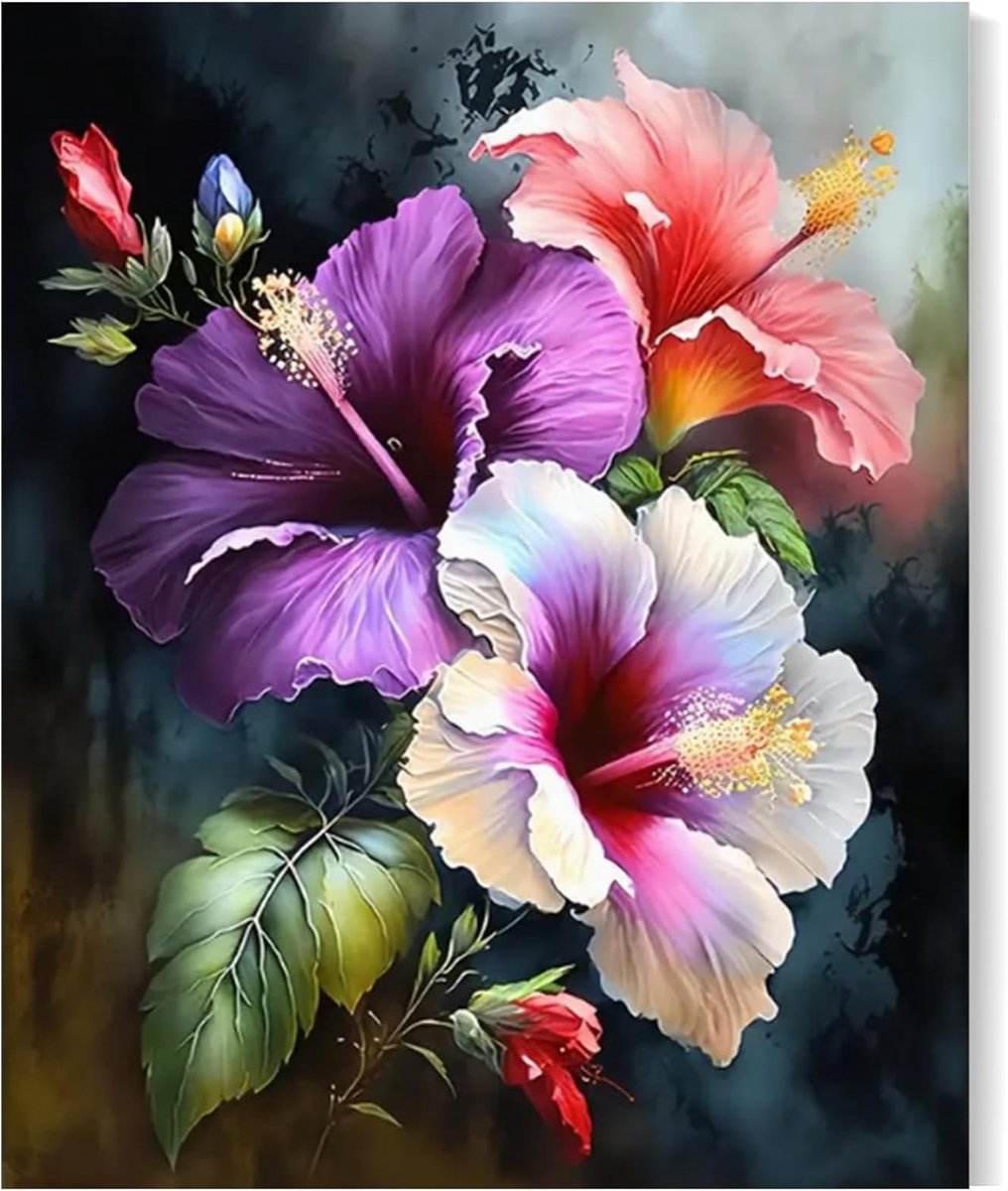 Schilderen op nummer 40 × 50 cm - canvas bloemen - DIY schilderen voor volwassenen en kinderen - creatief cadeau - ShopVlot