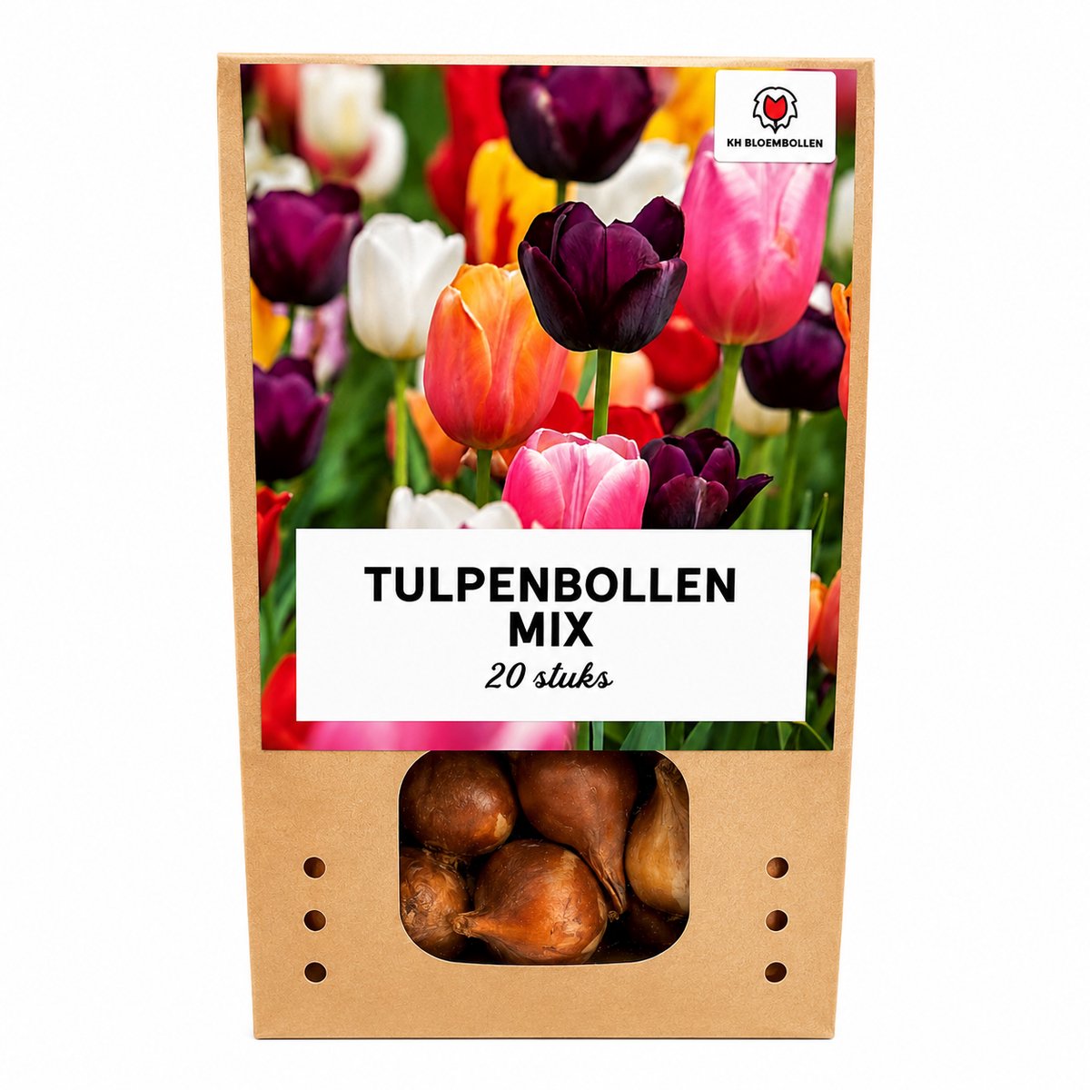 Tulpenbollen Mix - 20 Stuks - Winterhard - Maat 11/12