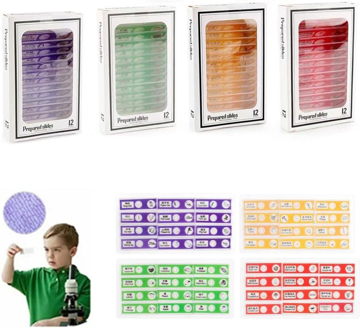 microscopische glaasjes 25x75mm - helder glas - 50 stuks - ideaal voor labwerk - ShopVlot