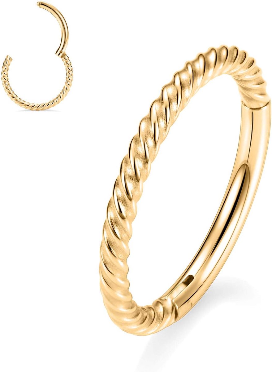 316L chirurgisch staal scharnier neusringen hoepel 18G 16G naadloze piercings ringen voor neusschotel kraakbeen helix tragus conch rook, daith lobe diameter 6 mm tot 12 mm, Roestvrij staal