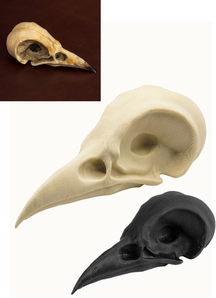 3D-Print Kraaienschedel Om Zelf Te Beschilderen (7cm)