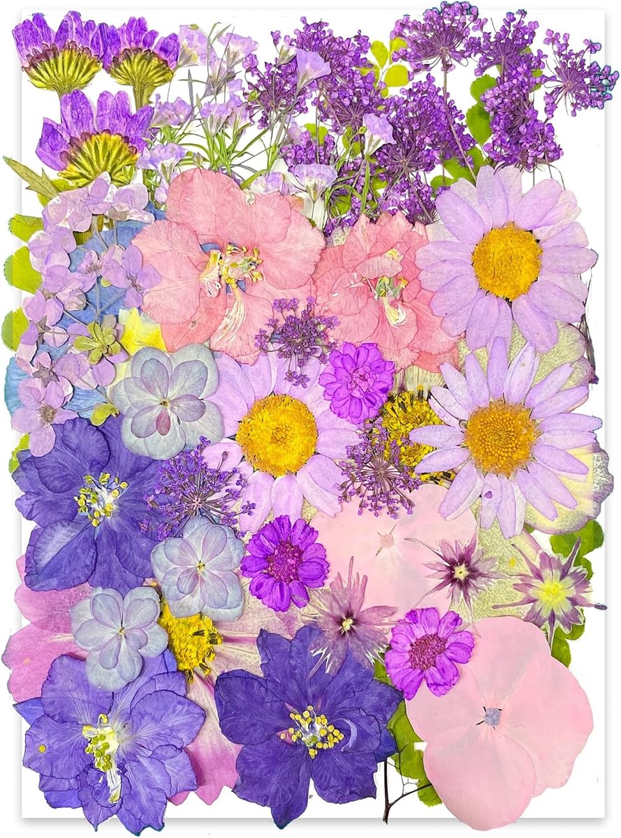 Gedroogde geperste bloemen voor harsvormen, echte natuurlijke geperste bloemen voor doe-het-zelf kunstambachten, kaarsen maken, nageldecoratie, zeep maken, telefoonhoesje 40 stuks
