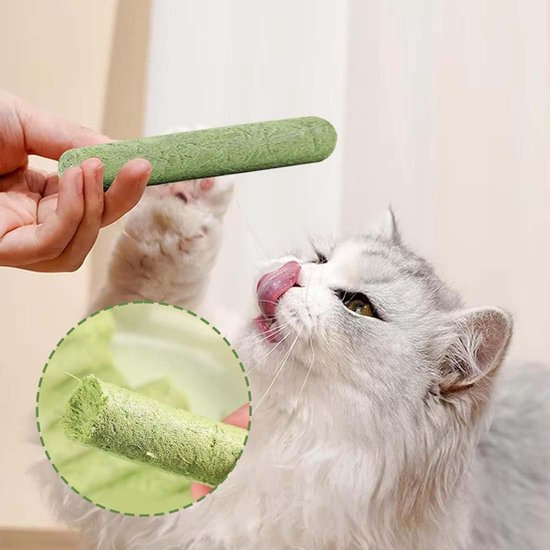 10 stuks kattengrassnack 50 g kattengras sticks gevriesdroogde snacks voor katten voor tandverzorging en haarballen verwijderen kattenkruid kattengras stick — afbeelding 4