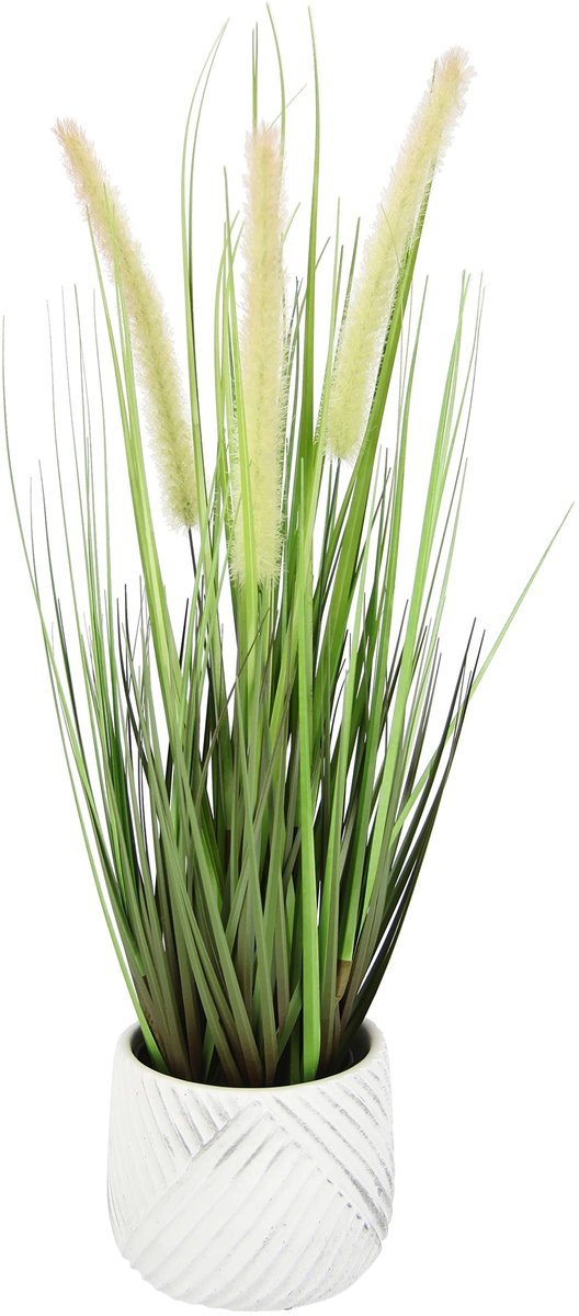 Omgoods - Kunstgras Foxtail met Pot voor Decoratie
