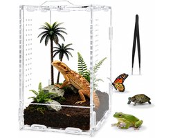 Reptielen, terrariumbox, voederbox, acryl, terrarium met pincet, transparant, draagbaar, faunabox voor spinnen, hagedissen, kevers, kikkers, slangen, gekkokameleon (20 x 12 x 10 cm)