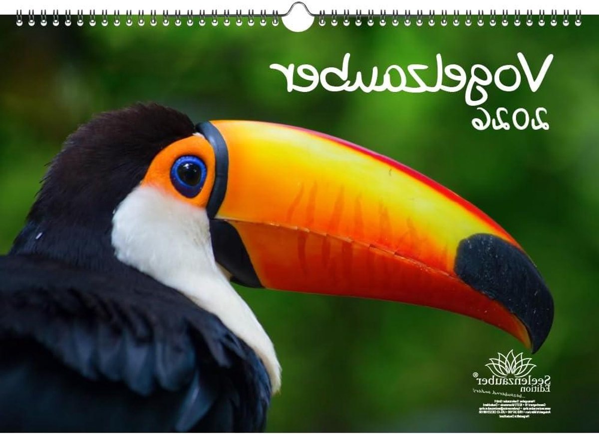 Wandkalender Vogelmagie - Fotokalender A3 - Jaar Overzicht - 12 Verschillende Motieven - A3 42x29.7cm - Multicolor