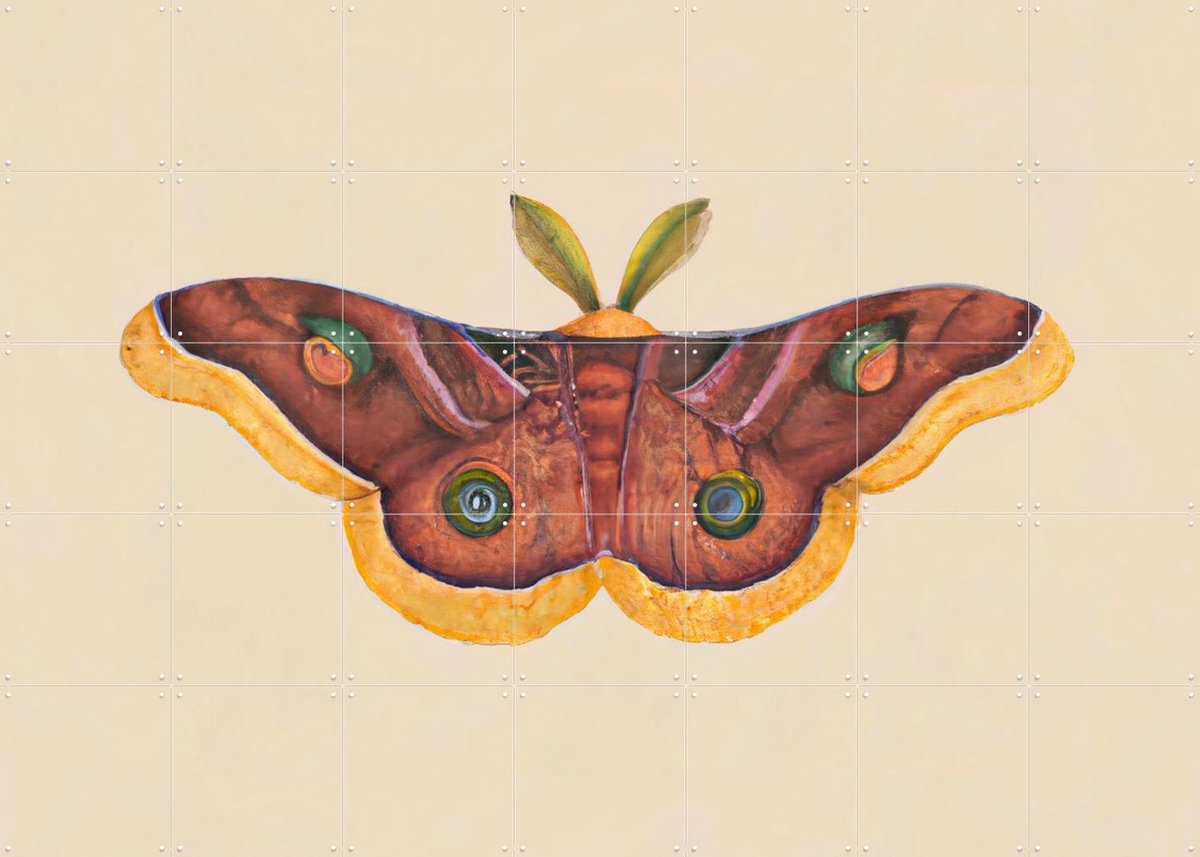 IXXI Butterfly Effect, Interiorisla - 140 x 100 cm - Gratis ophangtool - Grote wanddecoratie en posters - Abstract, Kleurrijk, Slaapkamer