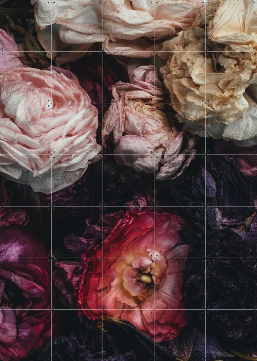 IXXI Ranunculus 11, Leigh Viner - 100 x 140 cm - Gratis ophangtool - Grote wanddecoratie en posters - Vintage, Fotografie, Slaapkamer, Trap
