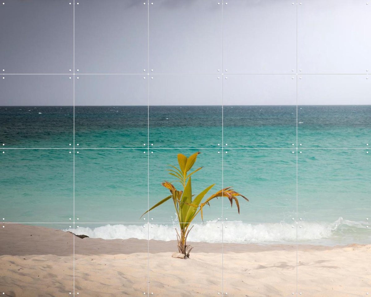 IXXI Lonely Palm On Quiet Tropical Beach, Claire Droppert - 100 x 80 cm - Gratis ophangtool - Grote wanddecoratie en posters - Fotografie, Strandhuis
