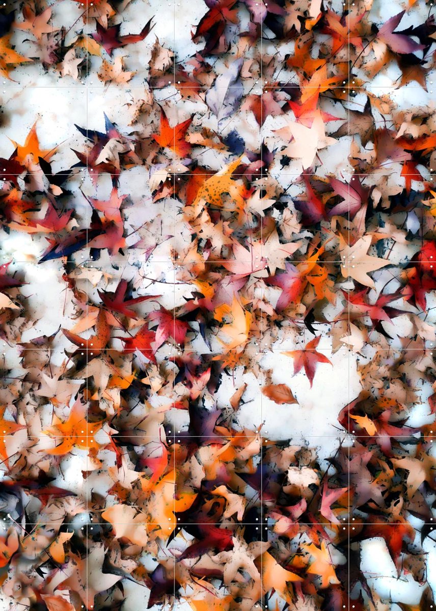 IXXI Leaves On Snow, Angelo Cerantola - 100 x 140 cm - Gratis ophangtool - Grote wanddecoratie en posters - Kleurrijk, Modern, Abstract, Digitale