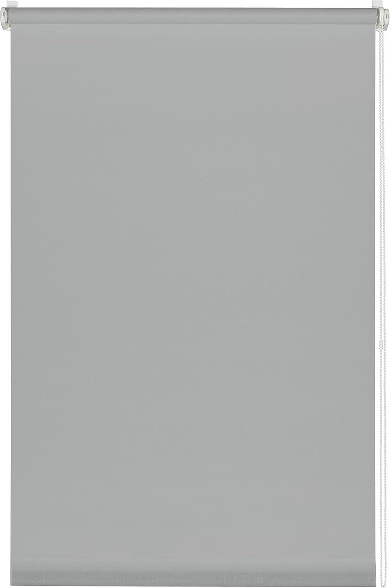 Company Rolgordijn om te klemmen, voor daglicht, ondoorzichtig, alle montageonderdelen inbegrepen, rolgordijn met klemmen, lichtgrijs, 50 x 150 cm (BxH)