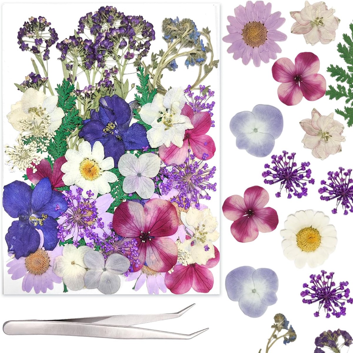 Gedroogde Bloemen, Natuurlijke Geperste Bloemen voor DIY Resin Gietwerk, Kaarsen, Zeep, Sieraden Maken en Scrapbooking Decoratie (Paars)