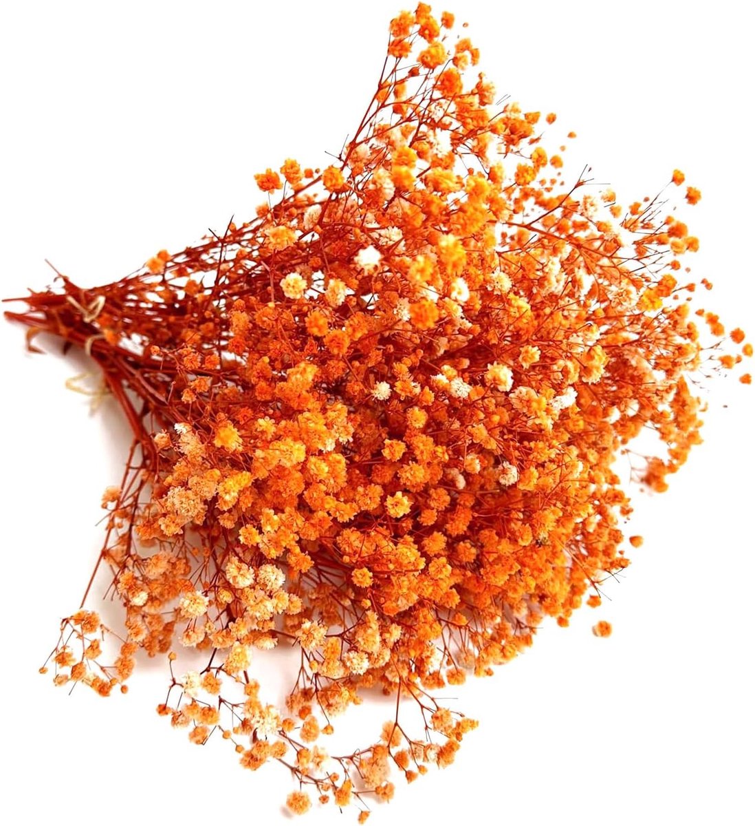 Gedroogde bloemen, gypsophila, droogbloemen om te knutselen, gedroogde bloemen, geschikt voor geschenkdoos, verzamelalbums, handgemaakte geurkaarsen (kleur