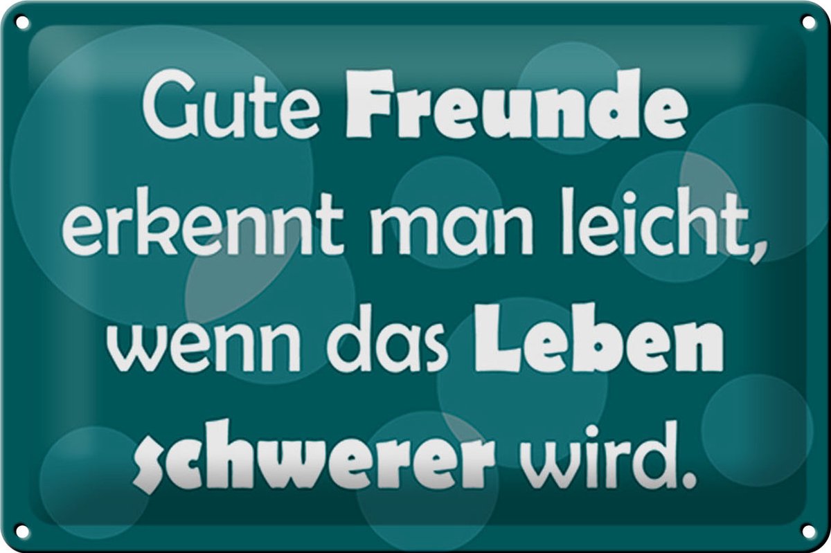 Blechschild Spruch 30x20cm Gute Freunde grünes