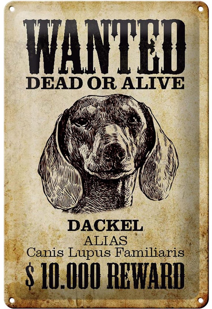 Blechschild Hund 20x30cm wanted dead Dackel Alias