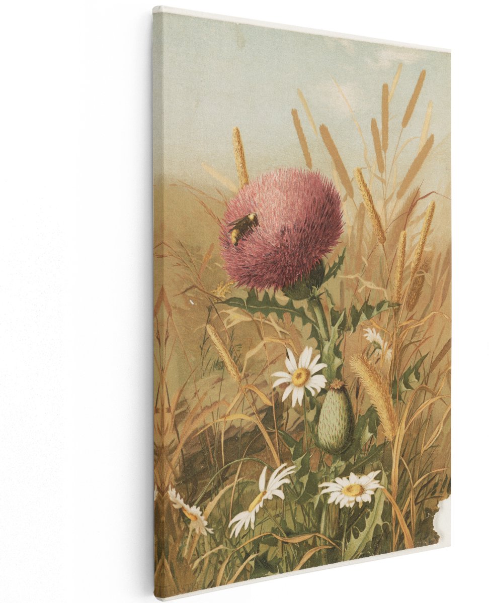 Artaza Canvas Schilderij Distelbloem - 120x180 cm - Groot - Wanddecoratie Bloemen - Muurdecoratie Vintage Natuur - Schilderijen Bij