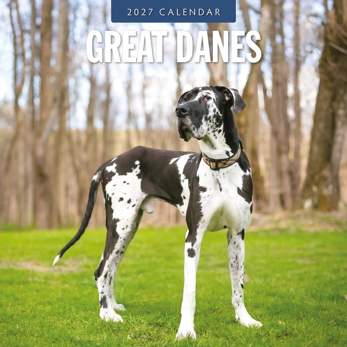 Duitse Dog Kalender 2027