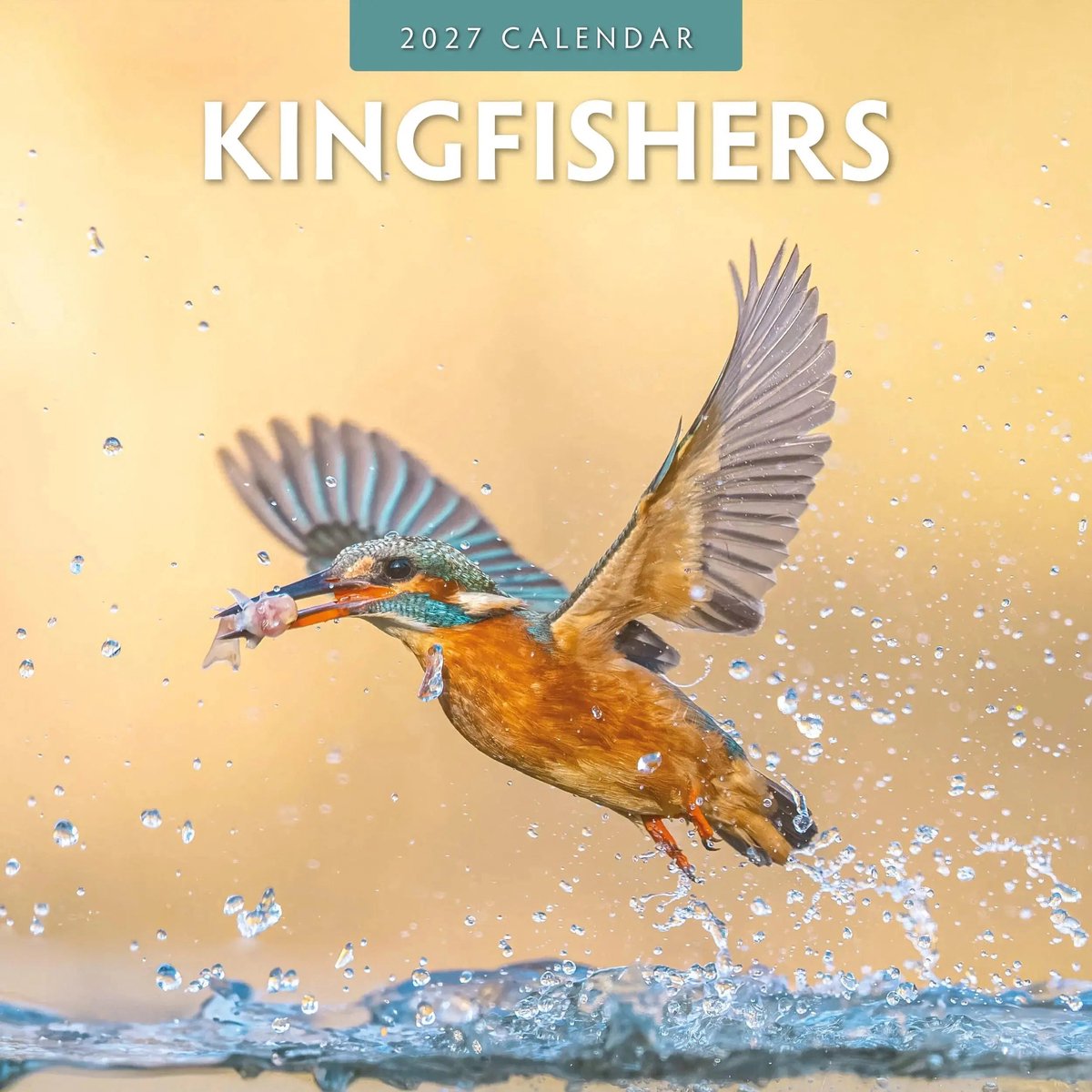 IJsvogel Kalender 2027