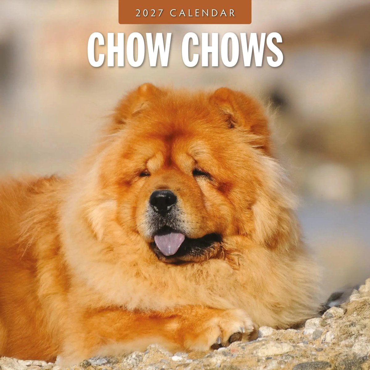 Chow Chow Kalender 2027