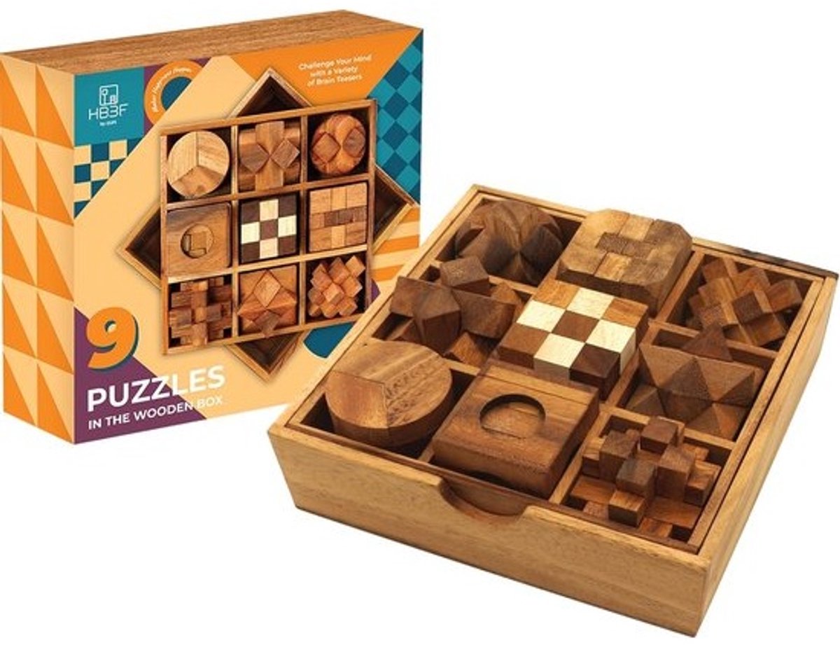 9-in-1 Houten Hersenkraker Puzzels voor Volwassenen en Kinderen - Creatieve Logicaspellen voor Alle Leeftijdsgroepen