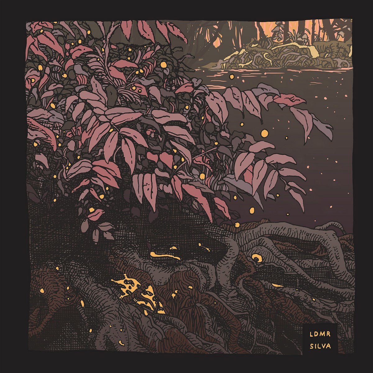 LDMR - Silva (LP)