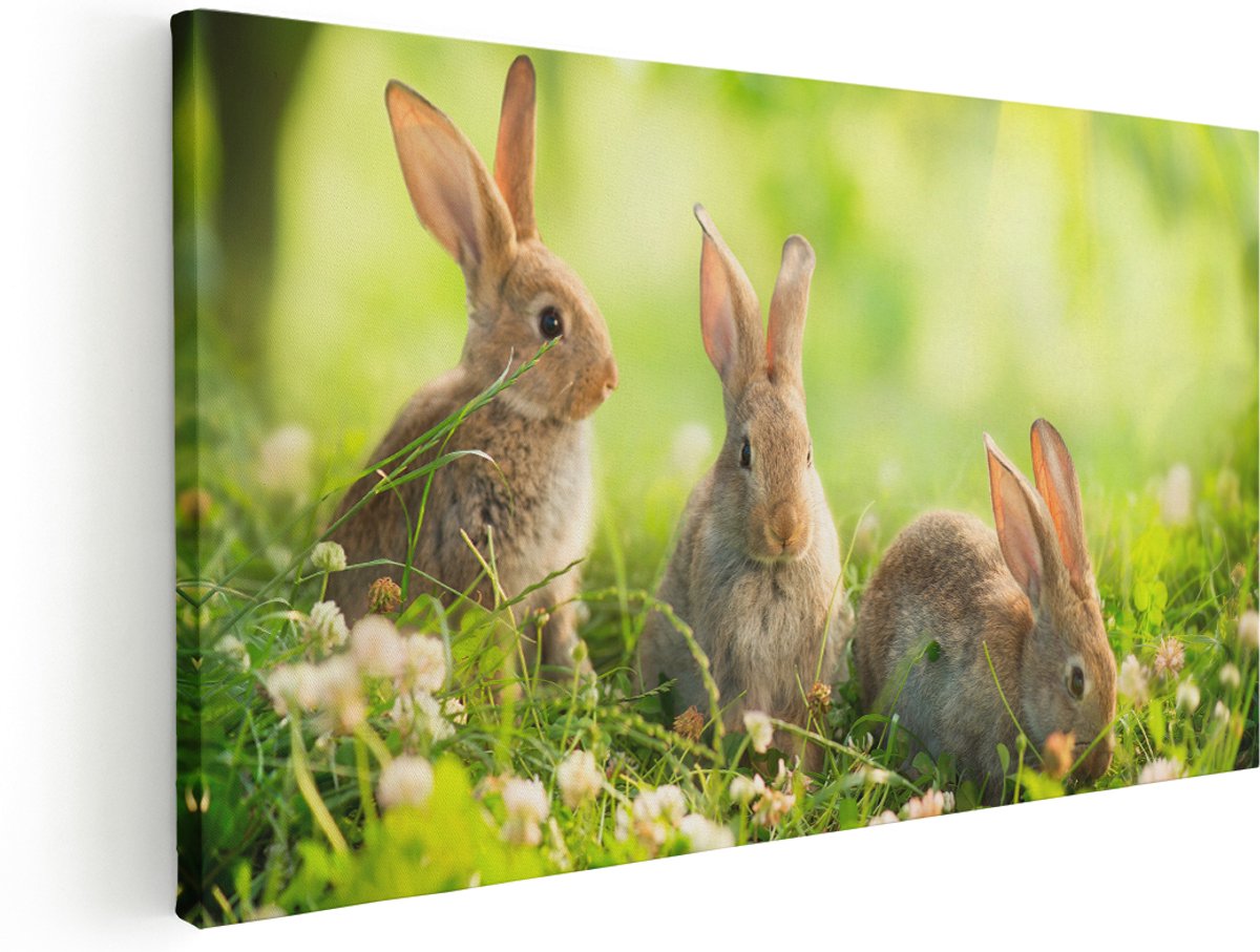 Artaza Canvas Schilderij Drie Konijnen Op Het Gras Bij Zonneschijn - 140x70 cm - Groot - Wanddecoratie Woonkamer - Schilderijen - Muurdecoratie