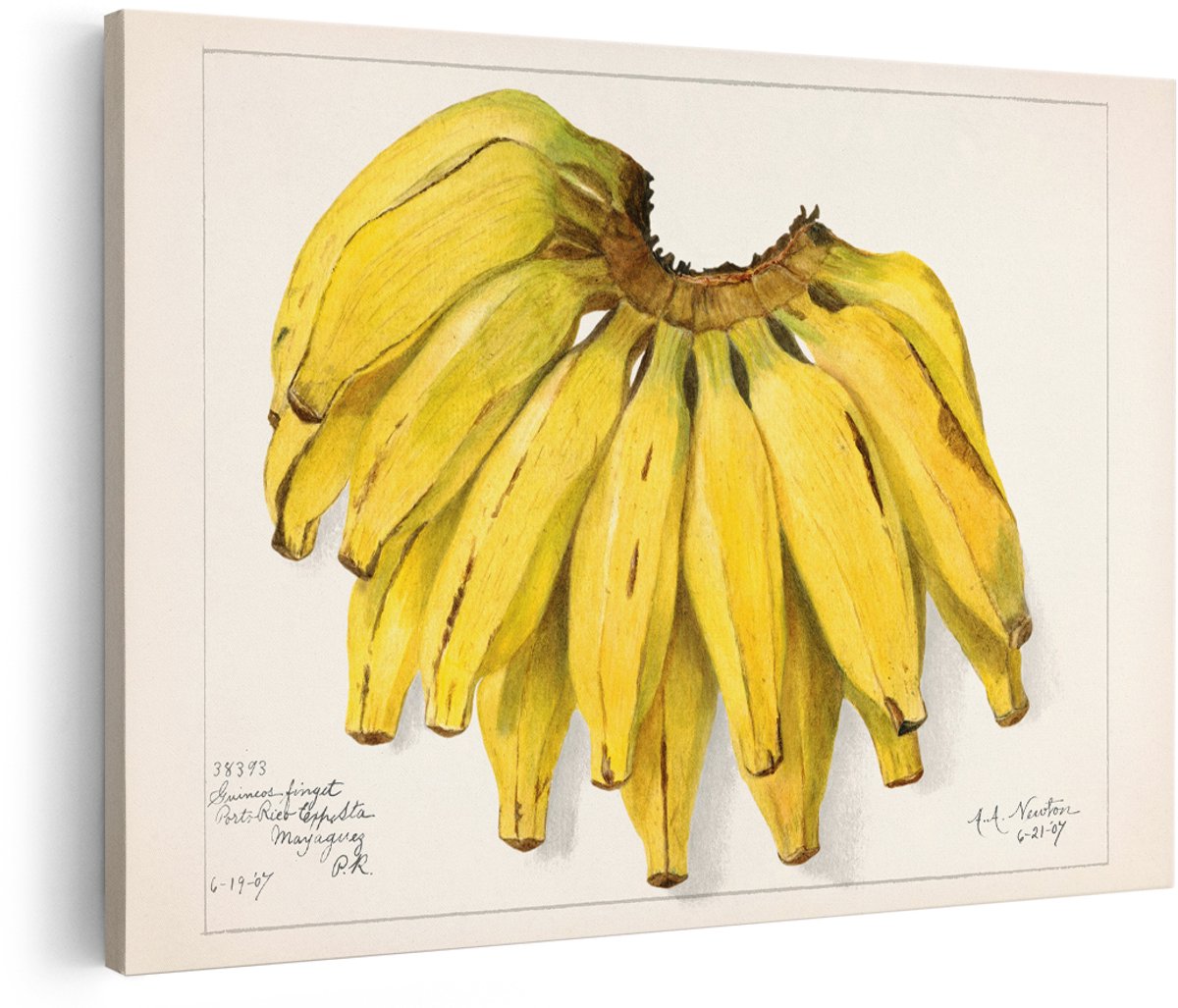 Artaza Canvas Schilderij Bananen - 180x120 cm - Groot - Wanddecoratie Keuken - Muurdecoratie Vintage - Decoratie Fruit - Botanische Tekening
