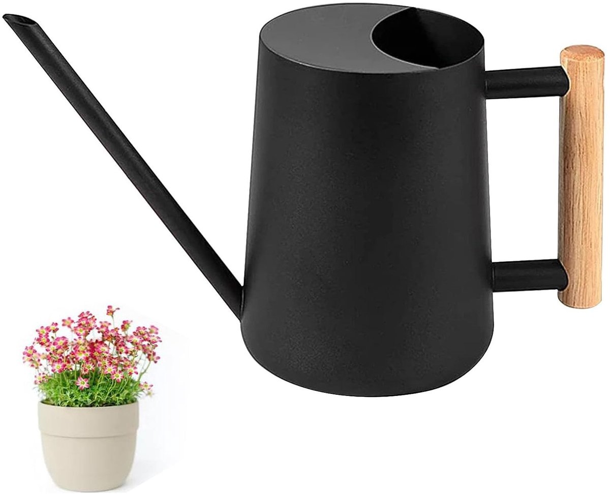 Dailygoods - Watering Can met Lange Tuit en Houten Handvat - Perfect voor Kleine Potplanten en Succulenten