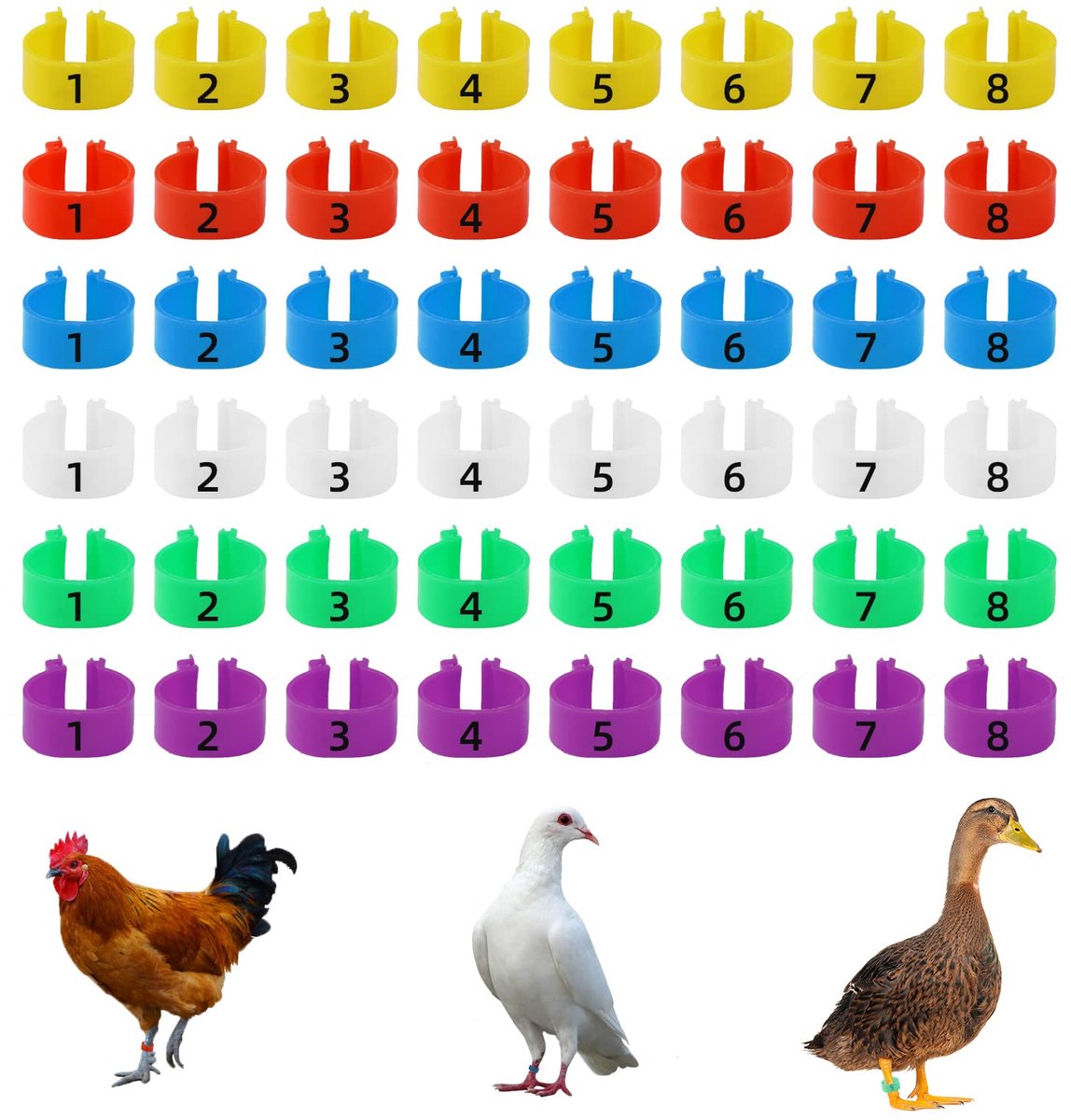 Dailygoods- Kippenbeenringen 48 Stuks - Kippenidentificatie - Genummerde Clip - Voor Wildgevogelte - Geschikt Voor Kippen/Kalkoenen - Maat 20 mm - Pootbanden