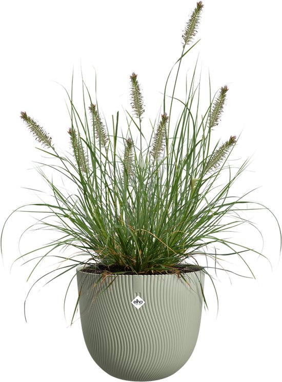 Groene Elho Sereh bloempot met grasplant, diameter 39 cm.