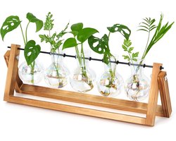 Propagation Station met 5 Glazen Bollen en Houten Stand voor Planten, Terrarium en Hydroponische Bloemenhouder