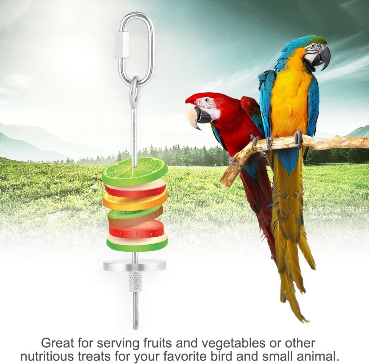 SnelShoppen - Vogelvoederhouder van RVS, Hangende Groentenspies voor Kleine Dieren, Duurzaam en Roestvrij, Geschikt voor Fruit en Groenten (L)