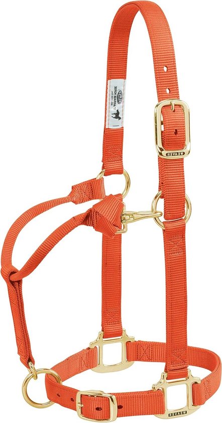 Paardenhalster Nylon - Paardentuig Halster - Paard Zadelen - Drielaags Wangontwerp - 1" Small Horse - Oranje Paardenhalster Nylon - Paardentuig Halster - Paard Zadelen - Drielaags Wangontwerp - 1" Small Horse - Oranje