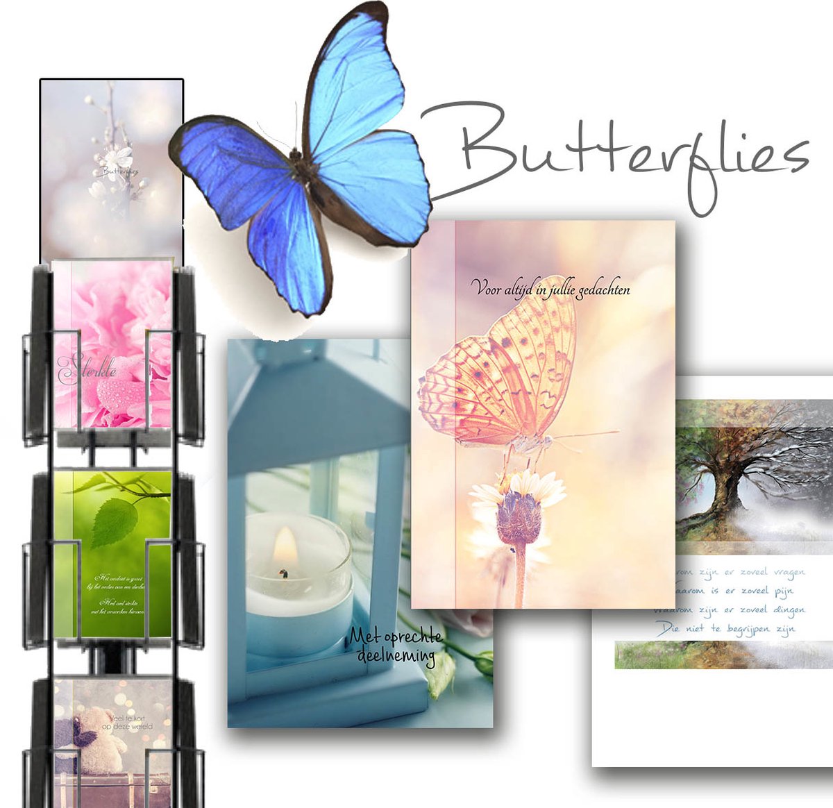 Butterflies 11x17cm complete serie inclusief display in bruikleen, topkaart en backcards