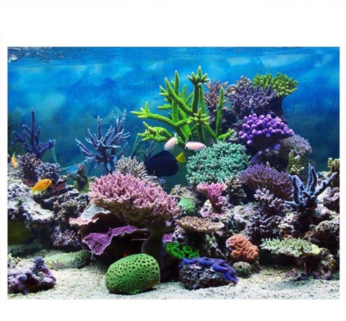 3D Effect Achtergrond Poster voor Aquarium - Onderwaterwereld Decoratie voor Vis Tank (91*50cm) - PVC, Levensgrote Afbeelding, Vis Tank Accessoires