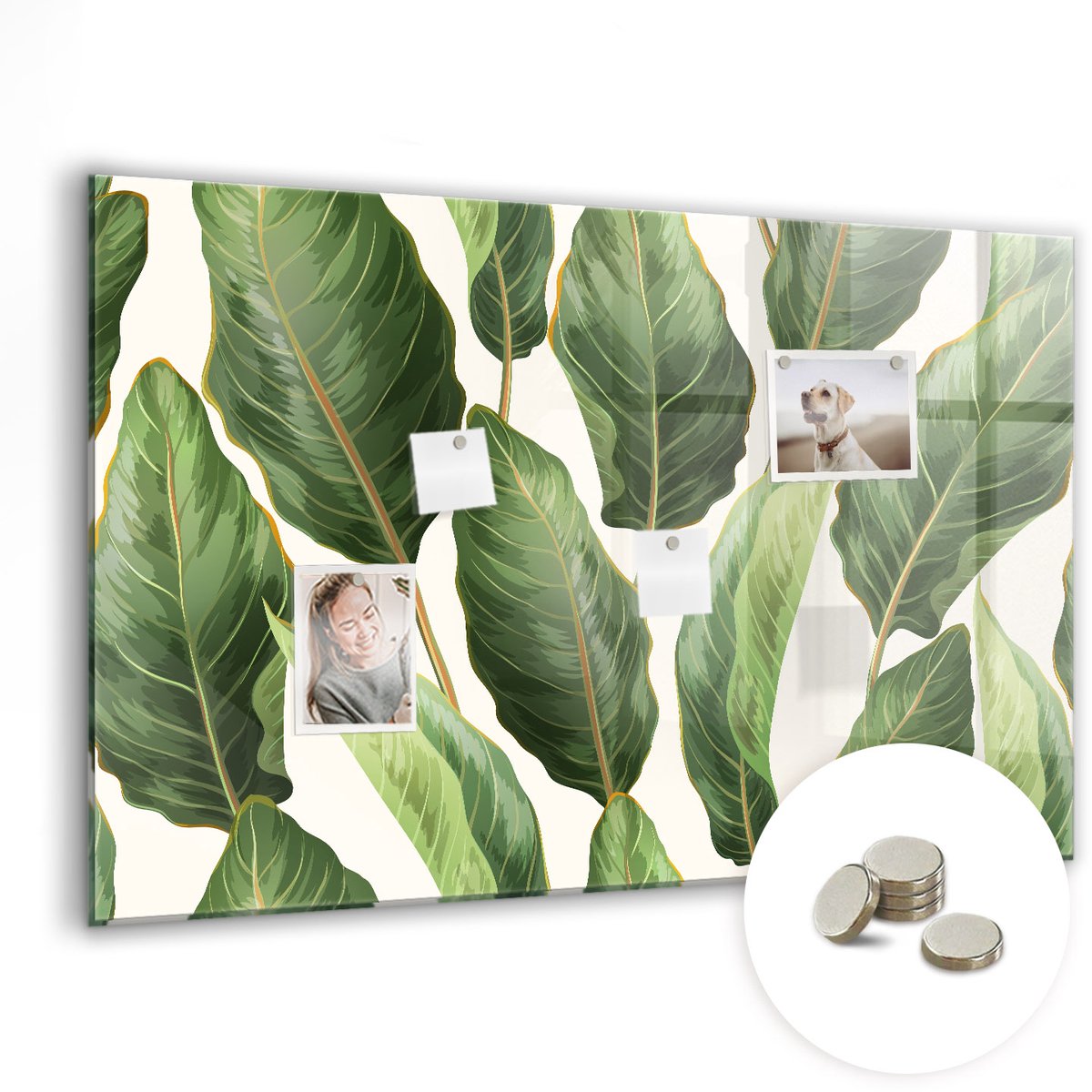Coloray Glazen Magneetbord - Magnetisch Bord Wereldkaart - 90x60 cm - Wit Magneetbord - Magnetic Board - Magneetbord Design