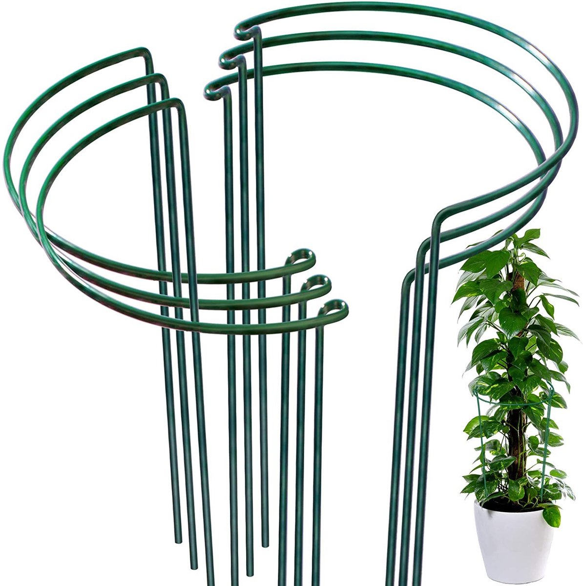 Groene gecoate ijzeren halfronde, 21cm breed 35cm hoog steunstokken voor hangende kamerplanten, monstera pothos zamioculcas, voorkomt hangende bladeren en buigende stengels，Verpakking van 5 stuks