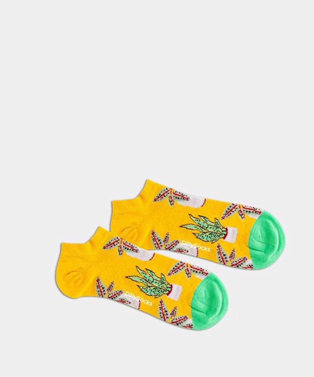 DillySocks Short Pottery Sock 36-40