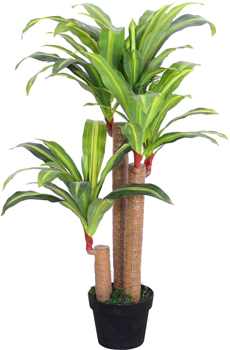 Kunstmatige Valse Drakenboom Plant Decoratie Bininnen 100cm DECOVEGO