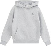 WE Fashion Jongens hoodie met embroidery