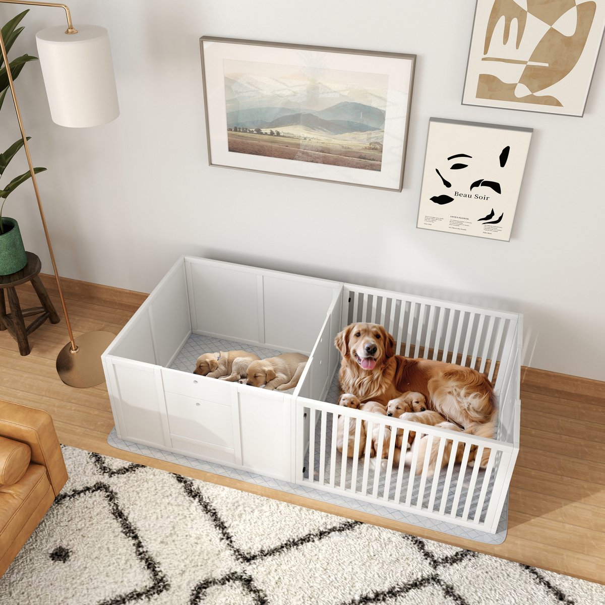 Wishdor Puppyren - Dubbel ruimteontwerp met 2 vakken - Verstelbare deur en waterdichte plasmat - Windwerende panelen en traliewand - Wit - 166 x 80 x 50 cm