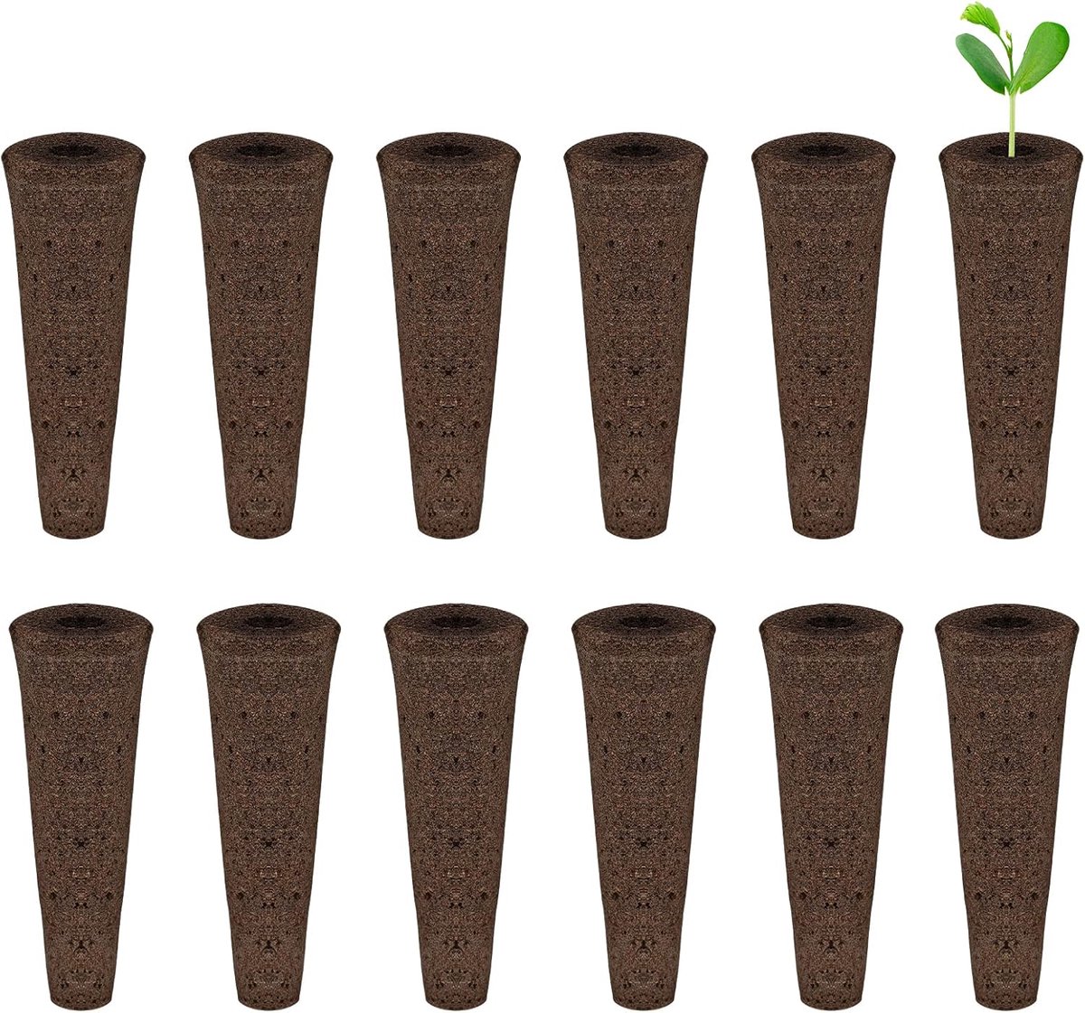 SnelShoppen - 12Pcs Groeisponzen voor Hydroponics, Plant Startpluggen voor Binnen, 5.5cm Lange Zaaikits van Hoogwaardige Sphagnum Veer, Ideaal voor Tu