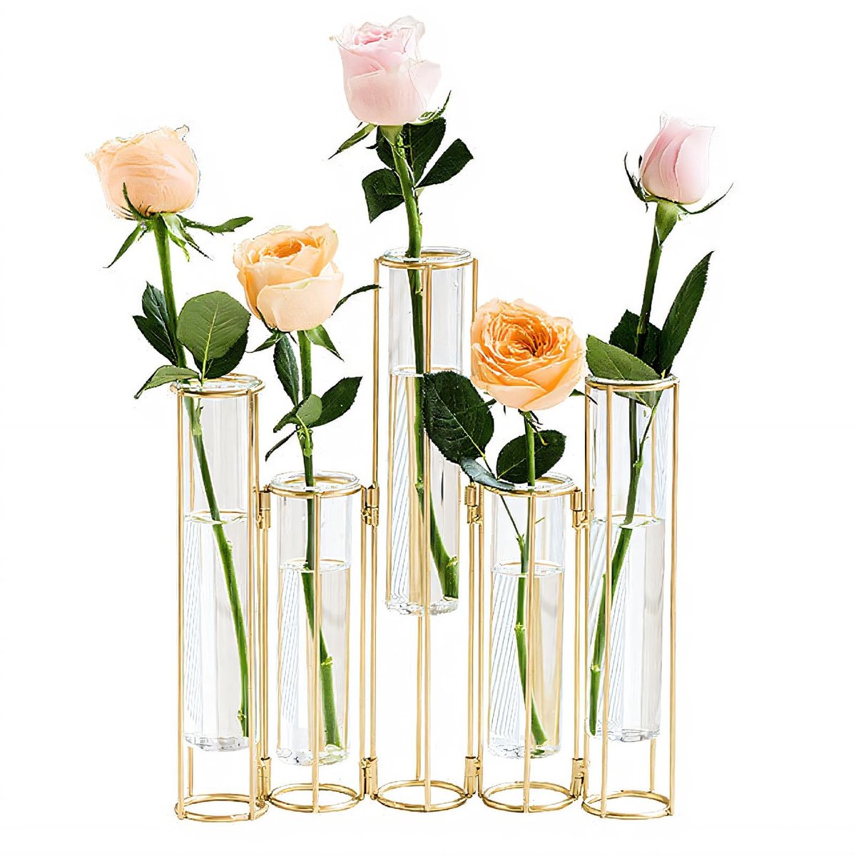 Omgoods - Set van 5 Glazen Reageerbuis Vazen voor Decoratie