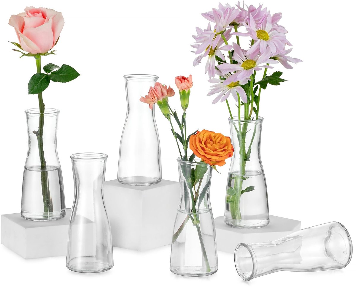 Omgoods - Set van 6 Kleine Glazen Vazen voor Tafeldecoratie