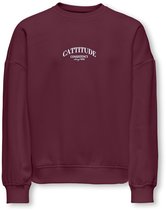 Wijnrood sweatshirt met 'CATTITUDE CONSISTENCY always WINS' opdruk in witte letters op de borst.