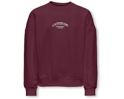 KIDS ONLY - KOGBILA L/S OVZ PRINT O-NECK SWT NOOS Meisjes Trui