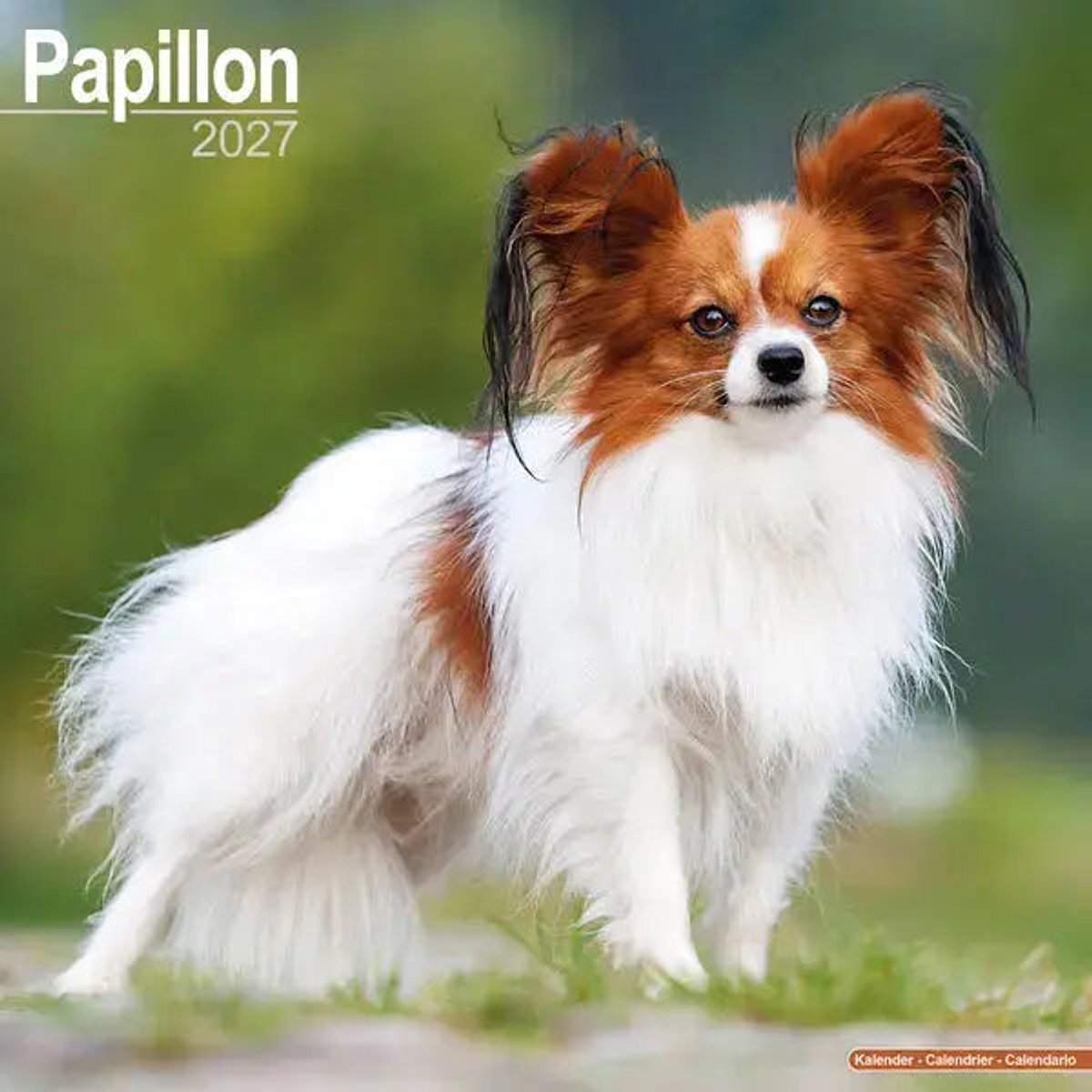 Papillon Kalender 2027